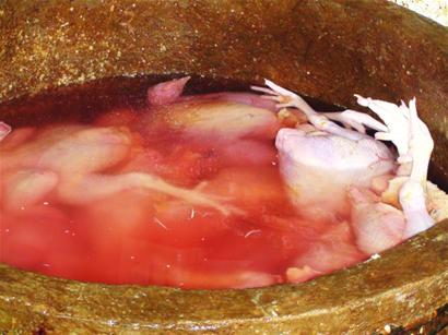 病死雞變白條 食品安全隱患與市場(chǎng)亂象